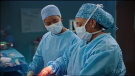 Greys Anatomy - Season 20 Episode 08
